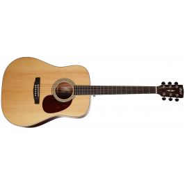 Cort Earth 100 NS