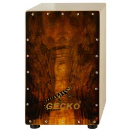 Gecko CL031
