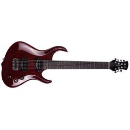 AV Basses 7 String Custom Guitar