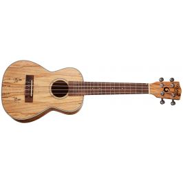 Kahua KA-24 SM