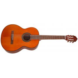 Cort AC100DXYT