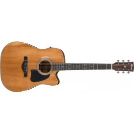 Ibanez AVD11CE-ANS