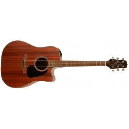Takamine GD11MCE-NS