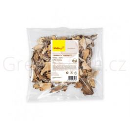 Maitake trstnatec lupenitý 20g Wolfberry