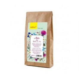 Bylinný čaj Máta 50g Wolfberry