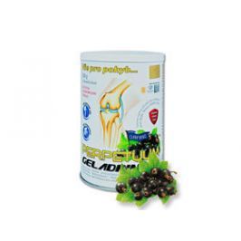 PERPETUUM Geladrink nápoj černý rybíz 500g