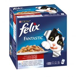 FELIX kapsa FANTASTIC 24 x 100g - Masový výběr